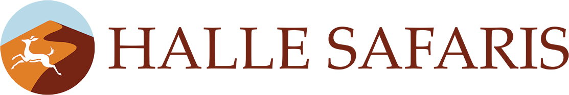 Halle Safaris Logo